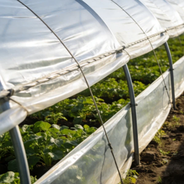 58c248b8f8d1b36280b224d143d054cb 58c248b8f8d1b36280b224d143d054cb